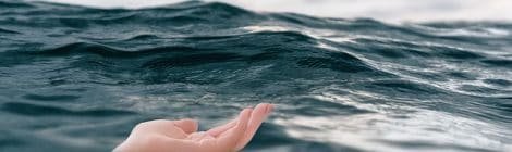 Stichting Vitaal Pendrecht in