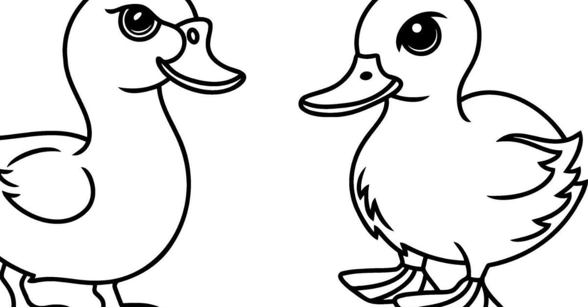 Schaap, varken en eend tekenen: stap voor stap voor beginners