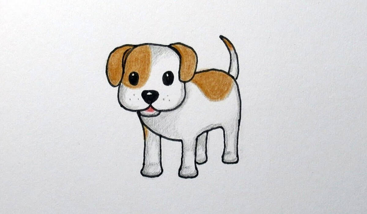 Hond tekenen: makkelijk en schattig tekenen van je favoriete huisdier