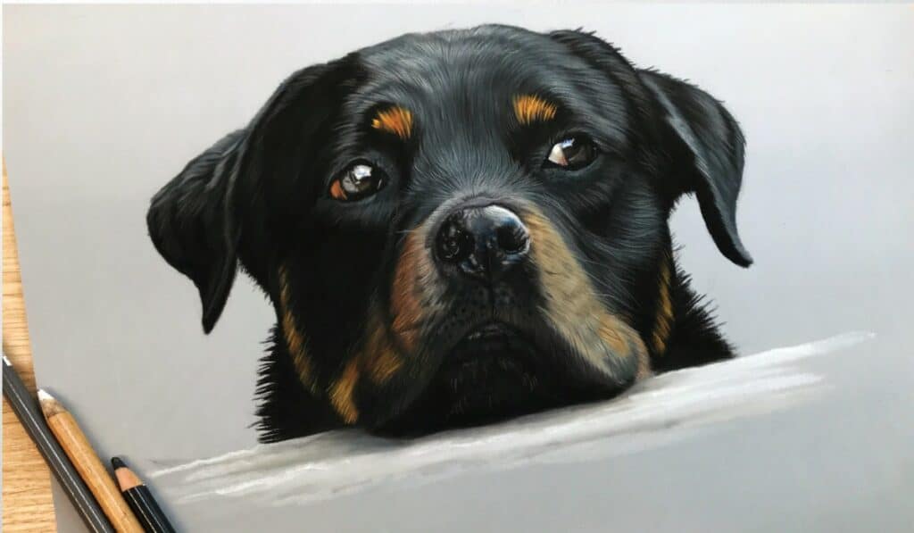 Hond tekenen