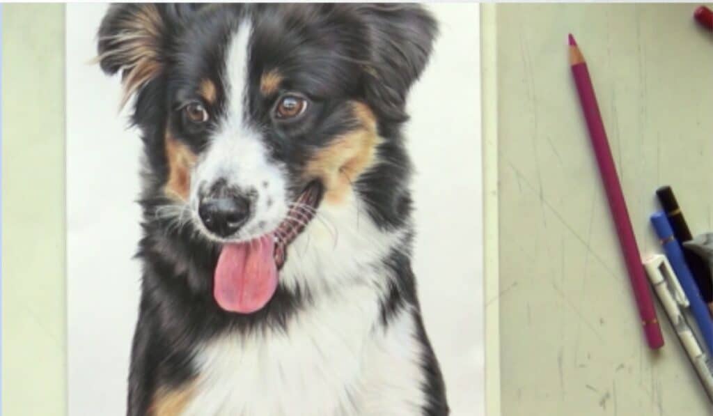 Hond tekenen