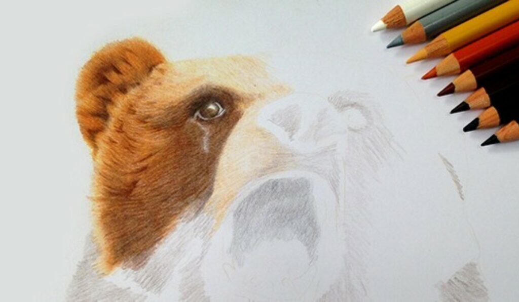 Dieren Tekenen