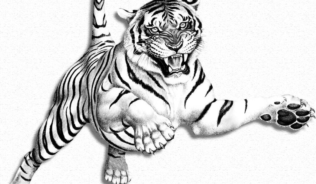 Tijger Tekenen