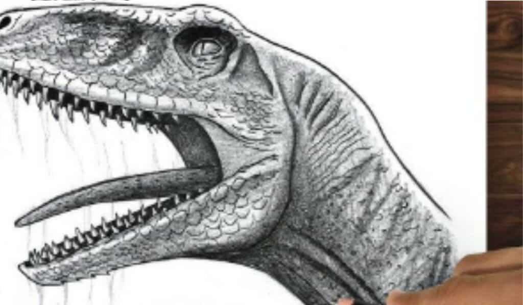 Dinosaurus Tekenen 