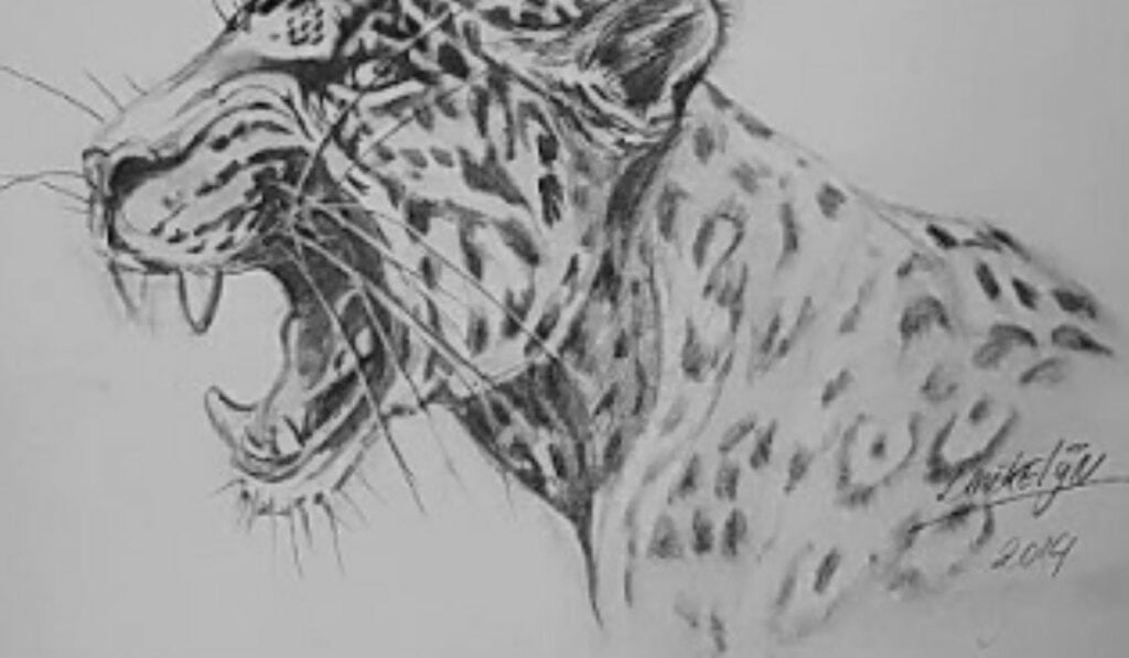 Schattige Dieren Tekenen