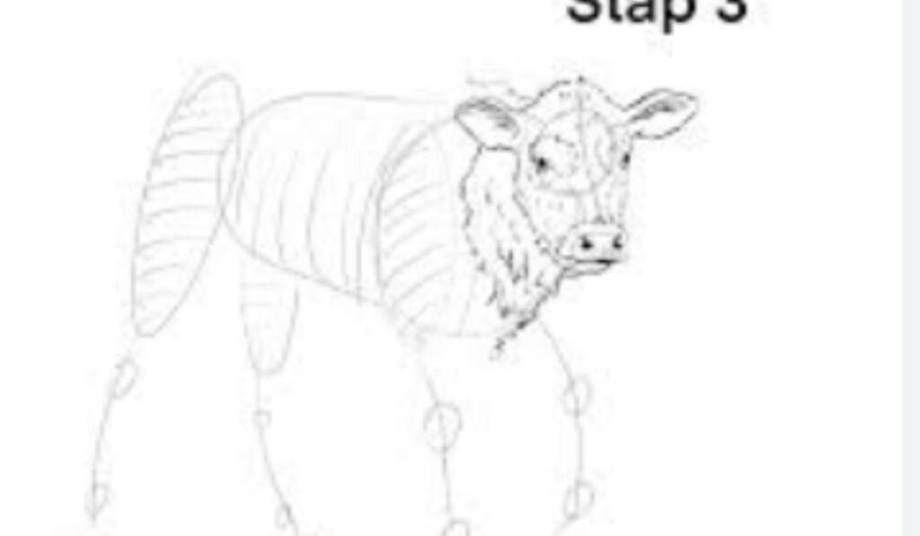 Tekenen Zonder Ervaring