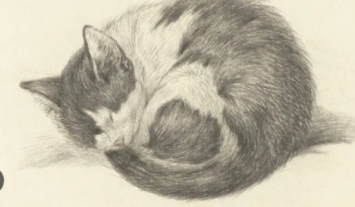 Tekenen Zonder Ervaring – Dieren Makkelijk Leren Tekenen