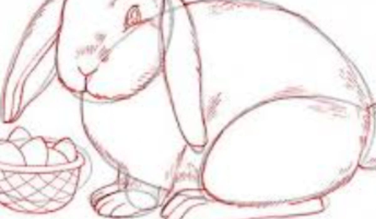 Paashaas Plezier Leer Tekenen Knutselen en Kleuren Met Deze Eenvoudige Gids