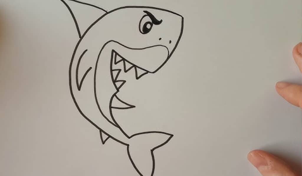 Dolfijn en haai tekenen