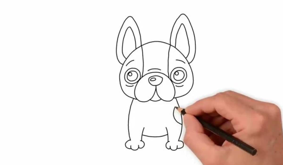 Hond tekenen makkelijk: leuke en schattige stijlen voor beginners