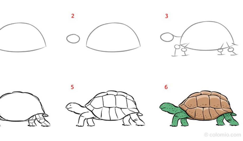 Schildpad tekenen makkelijk