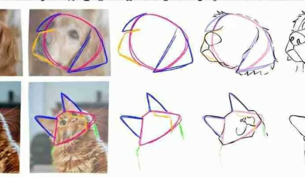 Dieren Tekenen Makkelijk