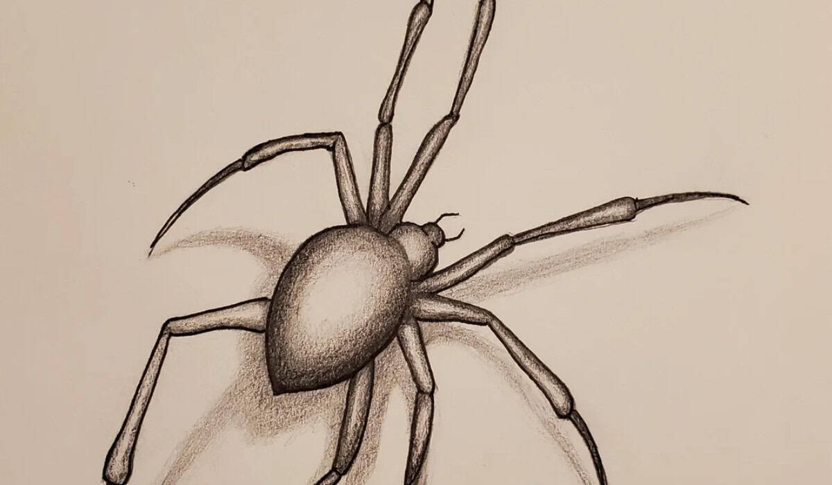 Spin Tekenen Leren: Realistisch tot Cartoon Stap voor Stap