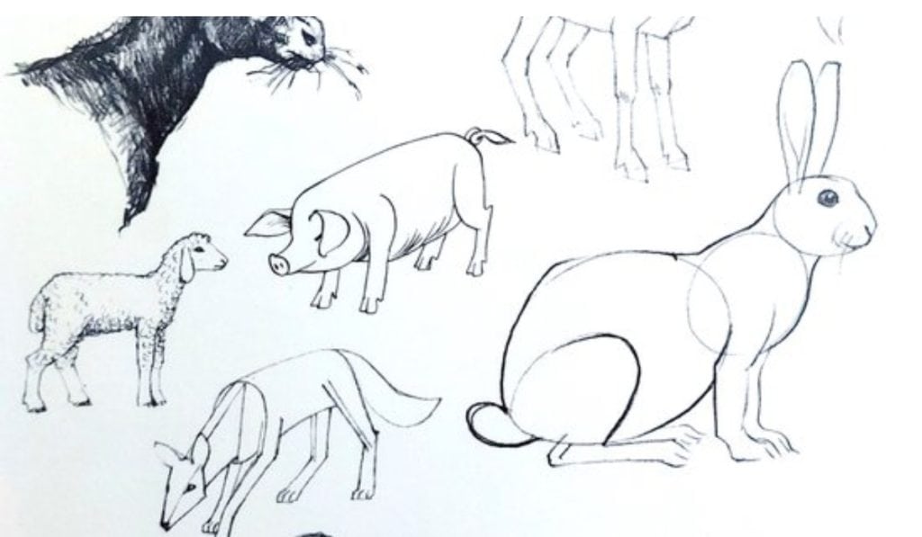 Dieren tekenen