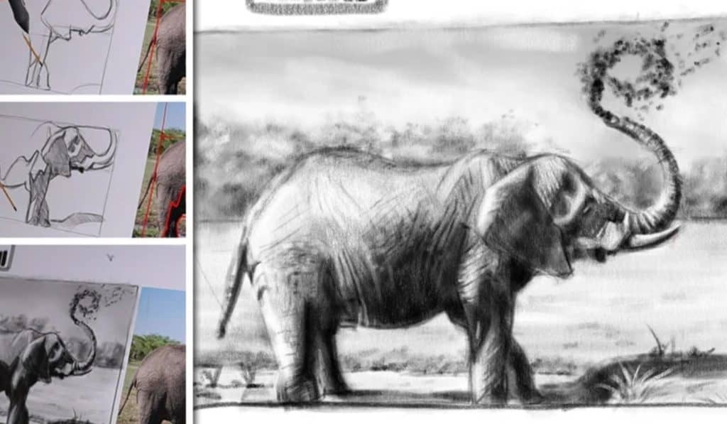Dieren tekenen